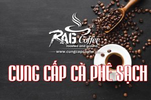 Cung Cap Ca Phe Sach